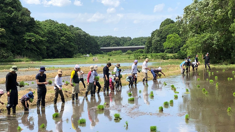 日本：谷津田再生プロジェクト